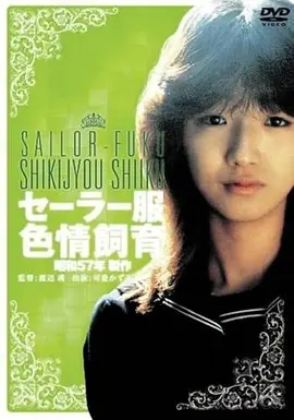 80s港片《喋血双雄》枪战风格海报